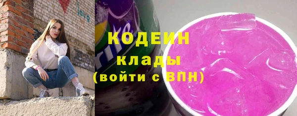 МДПВ Гусев