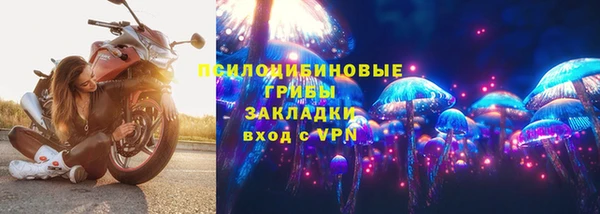 эйфоретик Вязьма
